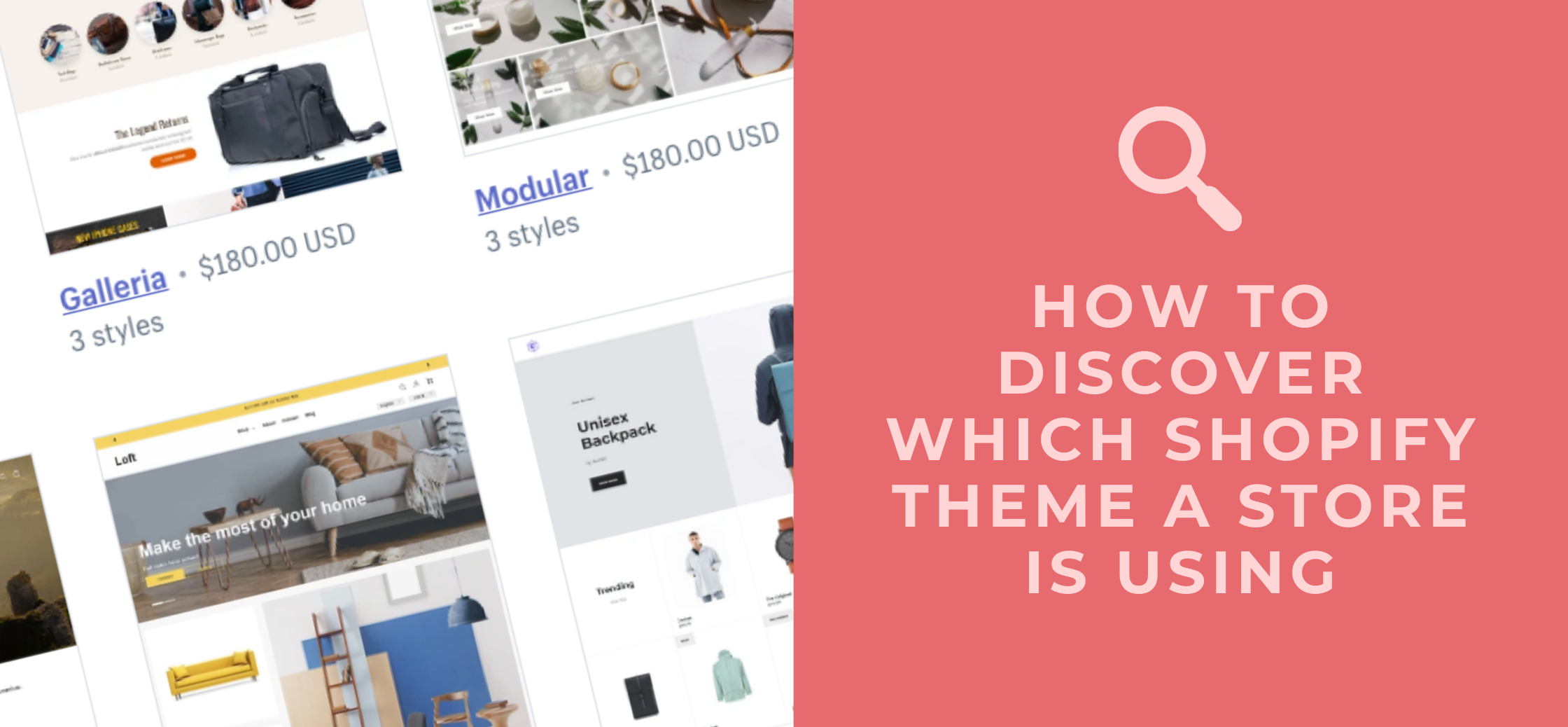 How to Discover Which Shopify Theme a Store is Using